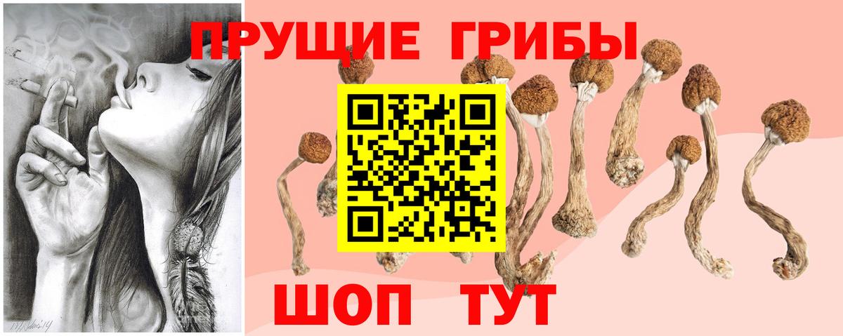 Псилоцибиновые грибы Magic Shrooms  Вход с VPN  Нефтекамск 